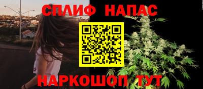 гидра Заволжье